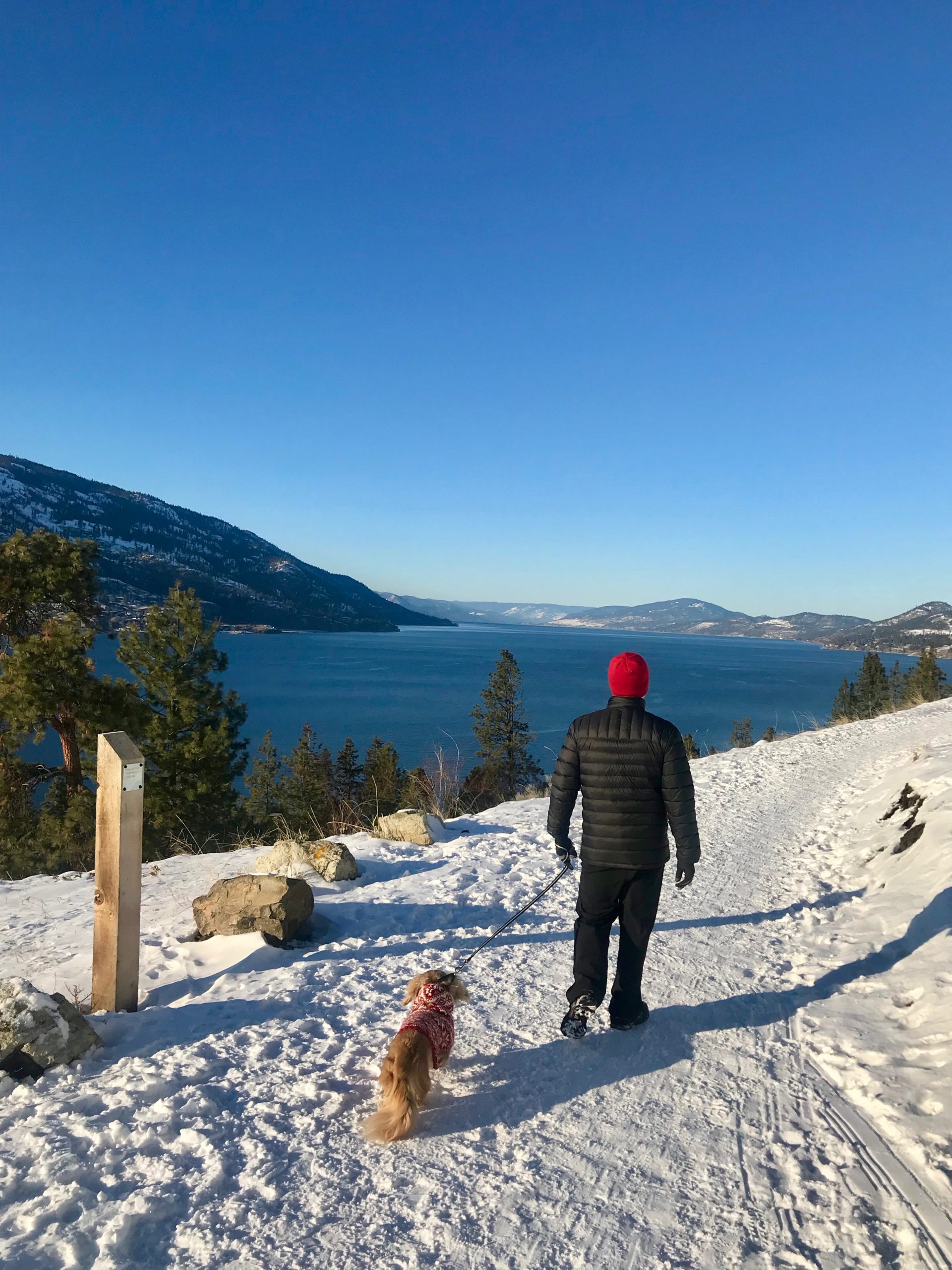 can you hike dog mountain in the winter