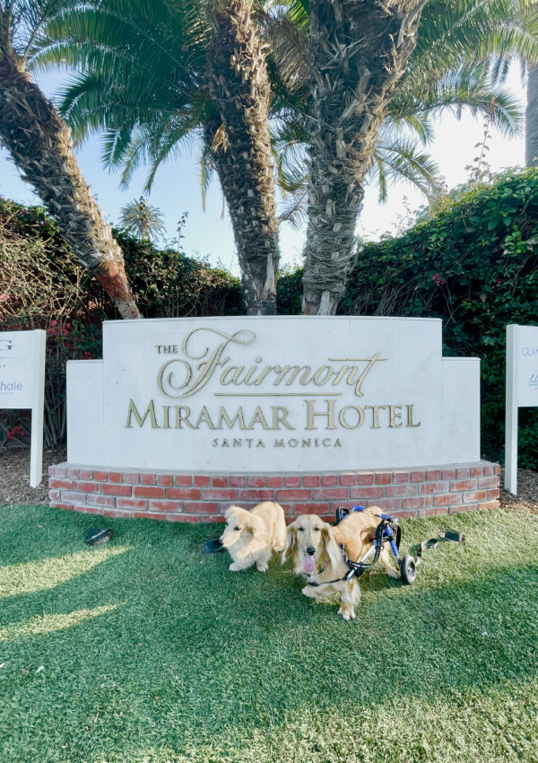 A Luxurious Stay at Fairmont Miramar: A Perfect California Escape